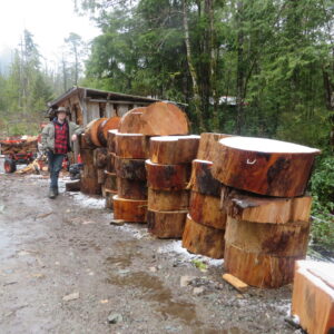 Firewood rounds