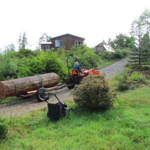 Rescuing logs for firewood or lumber