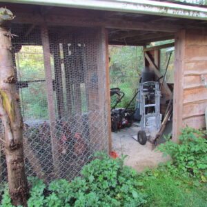 Garden shed and chicken run