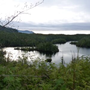 Scenery lake 2 (1)