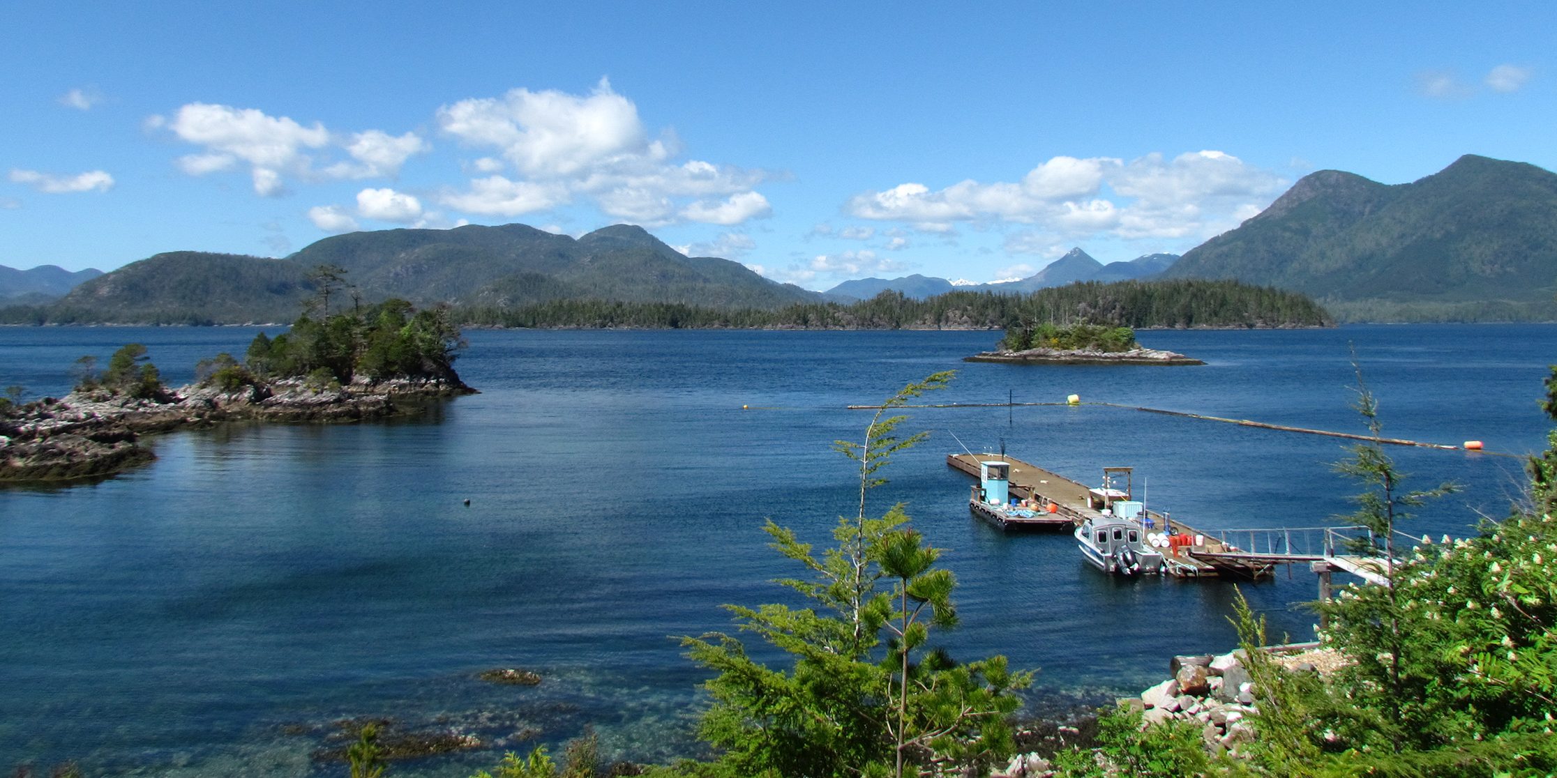 Flynn's Cove